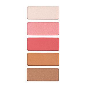 NORTHERN LIGHT BLUSH/BRONZER